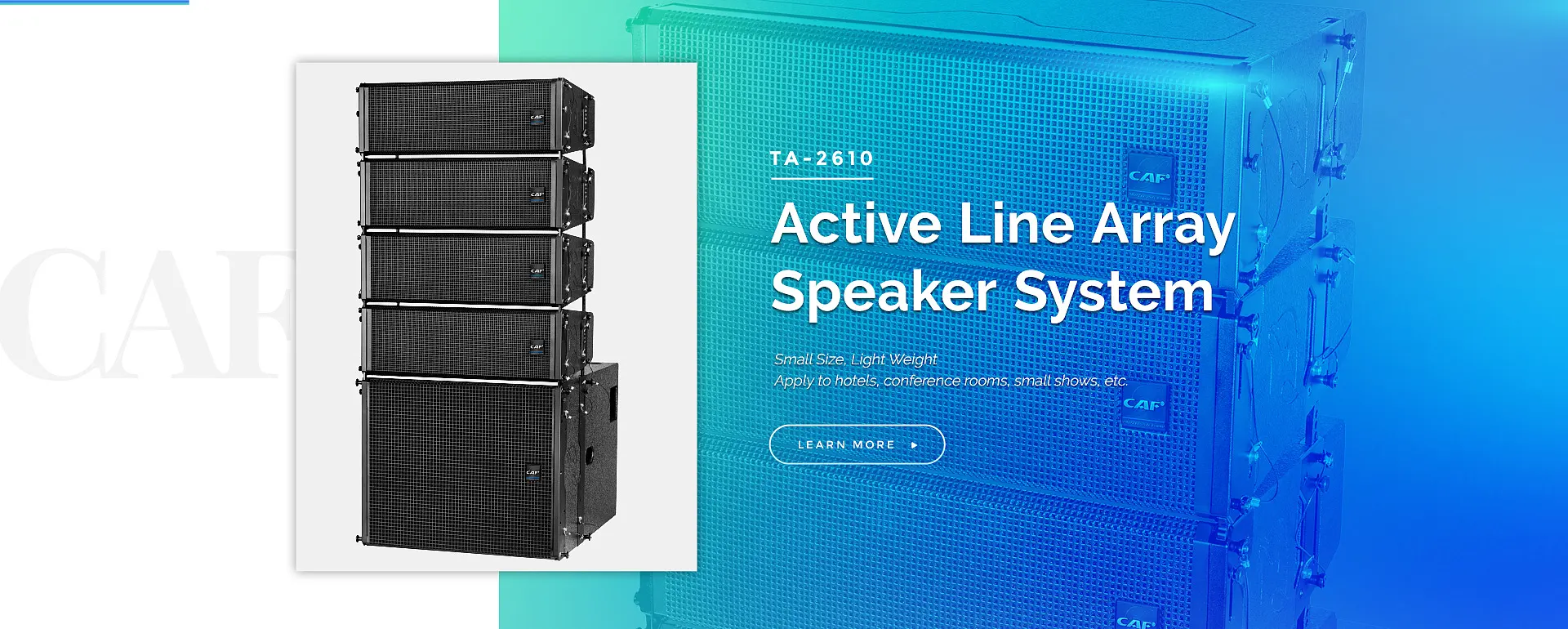 Line Array Speaker System