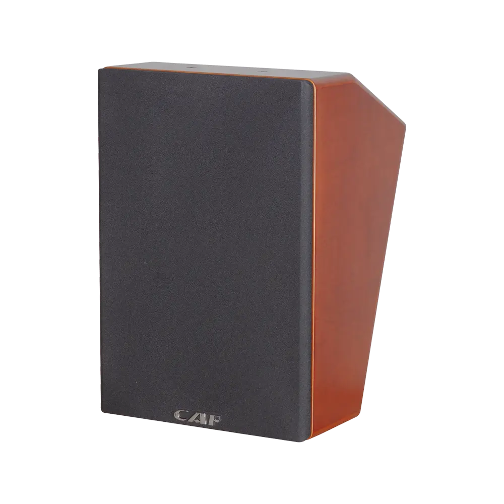China hot-sale product SK-10M Main speaker