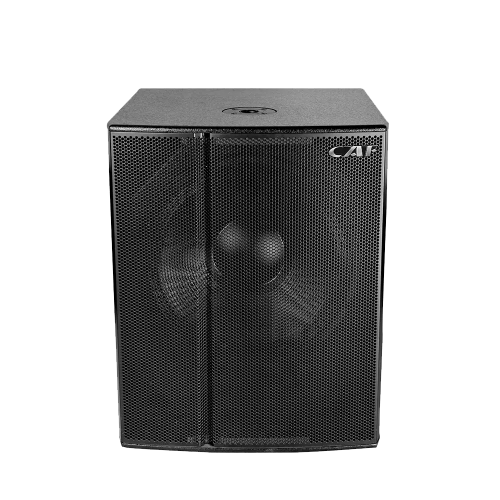 High quality DF Series Subwoofer Speaker manufacturer in China