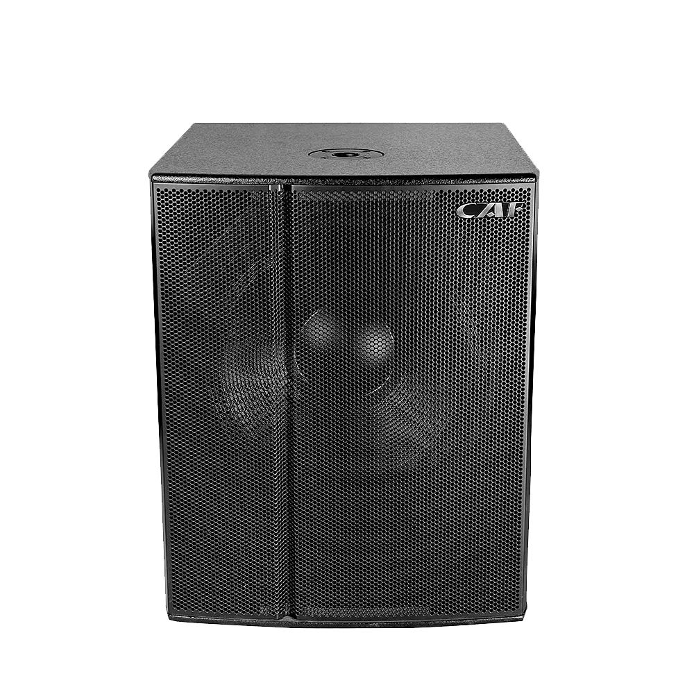 High quality DF Series Subwoofer Speaker manufacturer in China