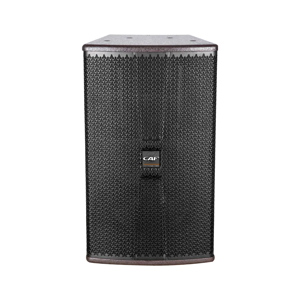 Wholesales for AS-112 12 inch full range speaker make in china