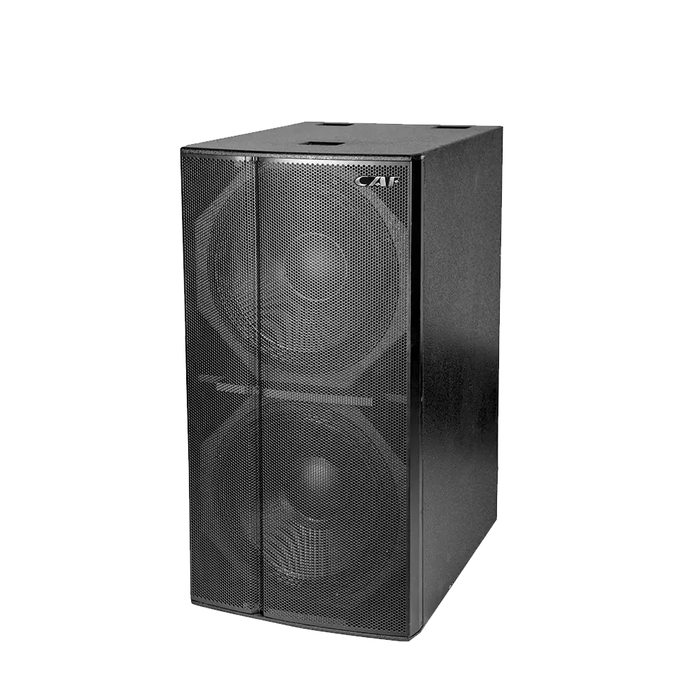 DF-218S Dual 18inch subwoofer speaker manufacturer in China