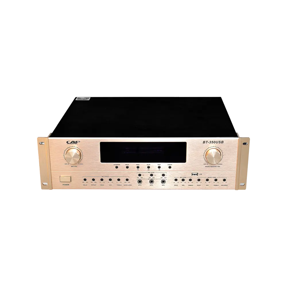 Amplificateur de karaoké BT - 350usb de haute qualité