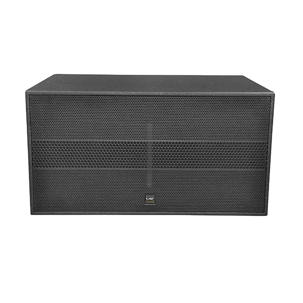 CA-218S Dual 18 Zoll Subwoofer