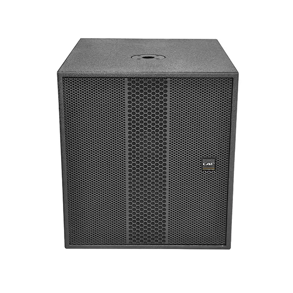 CA-18S Single 18 inch subwoofer